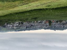 IMG_4166